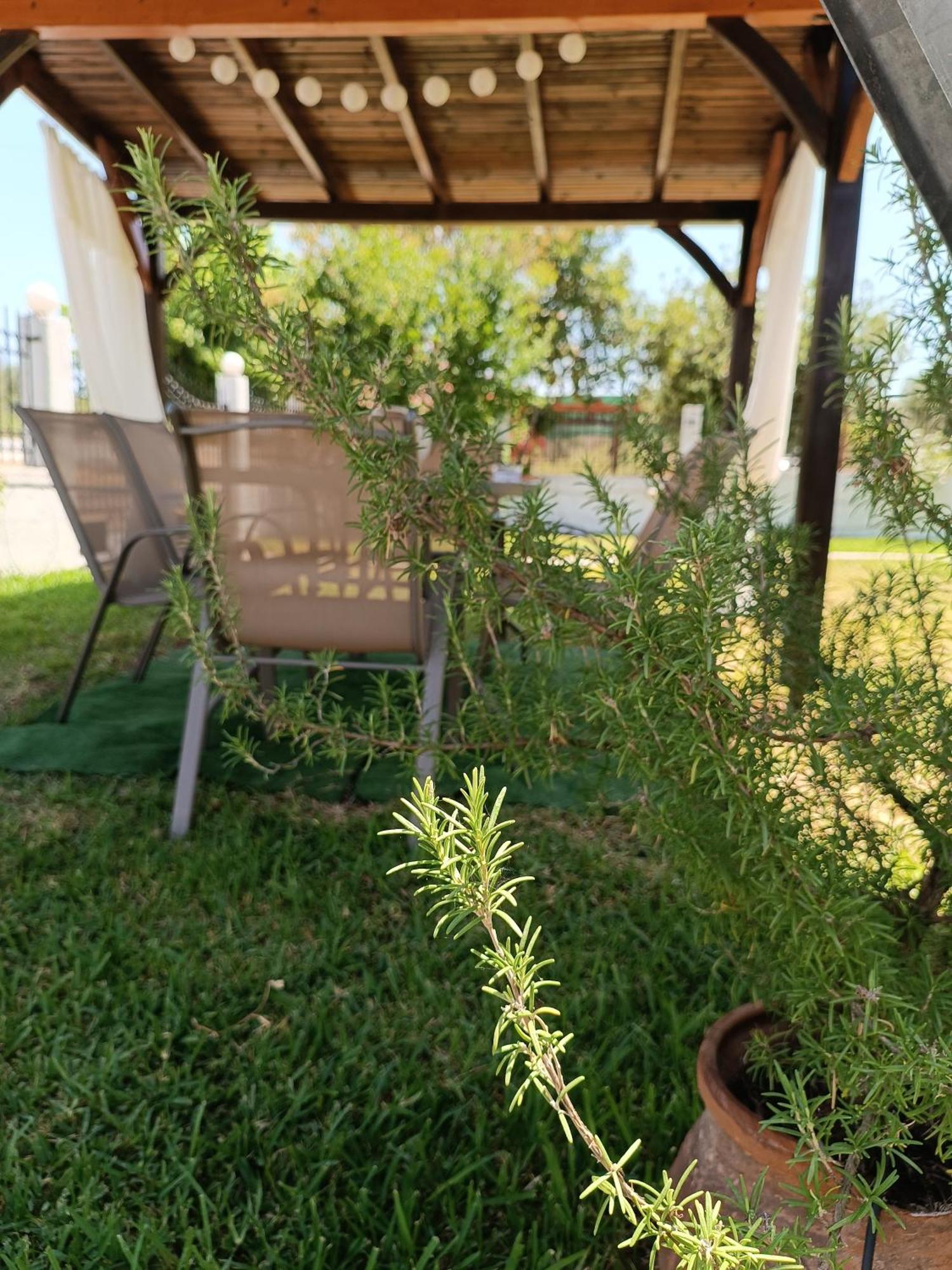 Evi'S Home أورموس باناجياس المظهر الخارجي الصورة